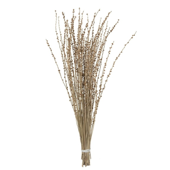 Vickerman 36-38" Natural Deglet Nour Branch Bundle