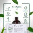 thumbnail image 4 of Aceite de eucalipto HBNO 475 ml, aceite esencial de gran tamaño, 4 of 6