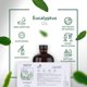 thumbnail image 4 of Aceite de eucalipto HBNO 475 ml, aceite esencial de gran tamaño, 4 of 6