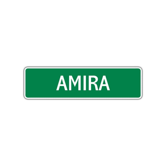 Amira Girls Children Name Letter Printed Label Indoor Outdoor Novelty Wall Plaque Decoration Aluminum Sign 4"x13.5"