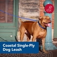 thumbnail image 2 of Correa para Perro Coastal de Nylon de Una Sola Capa Turquesa 1 cm x 1.8 m, 2 of 7