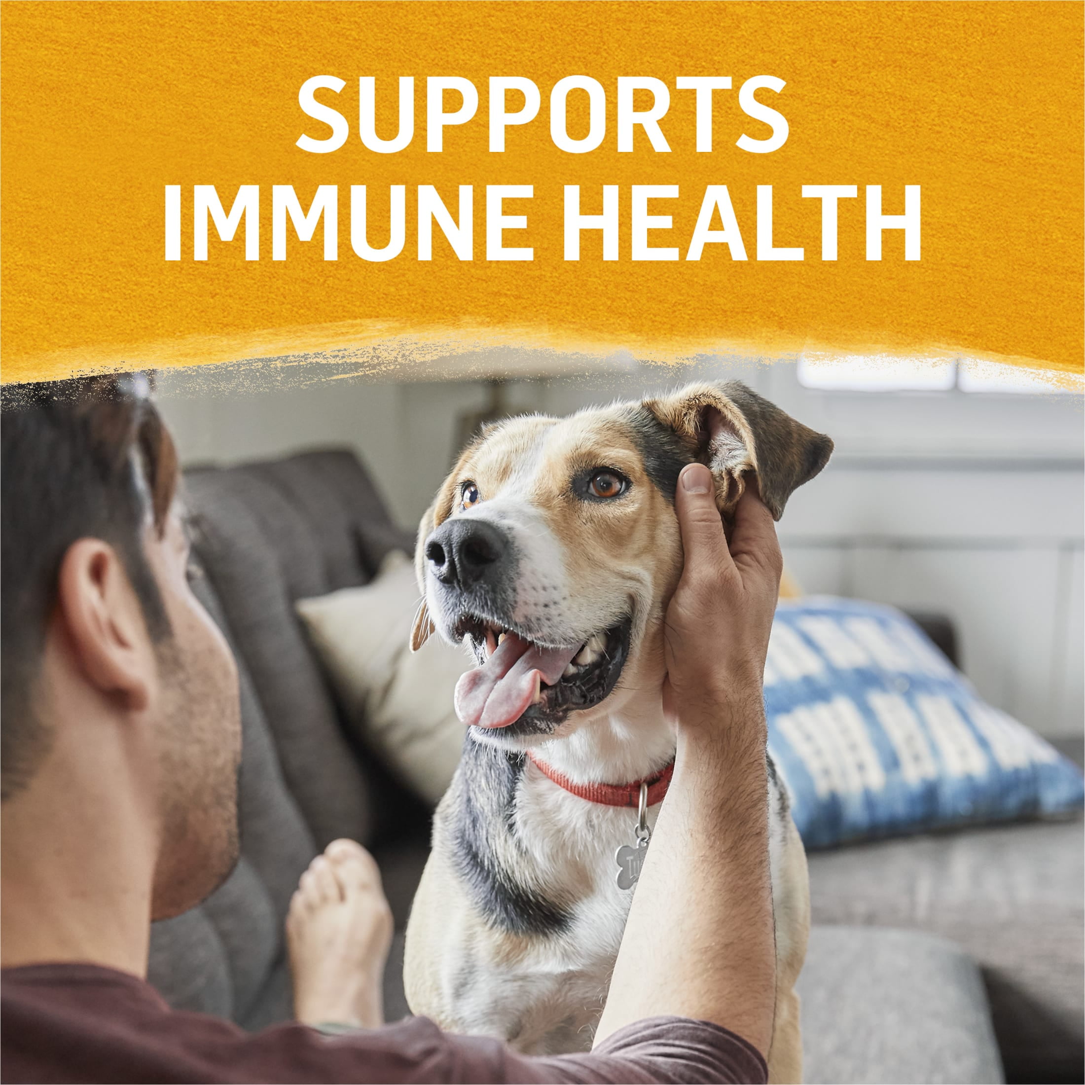 Purina Beyond Immune Health Wet Dog Food Real Soft Chicken, Carrot & Pea, 13 oz Can