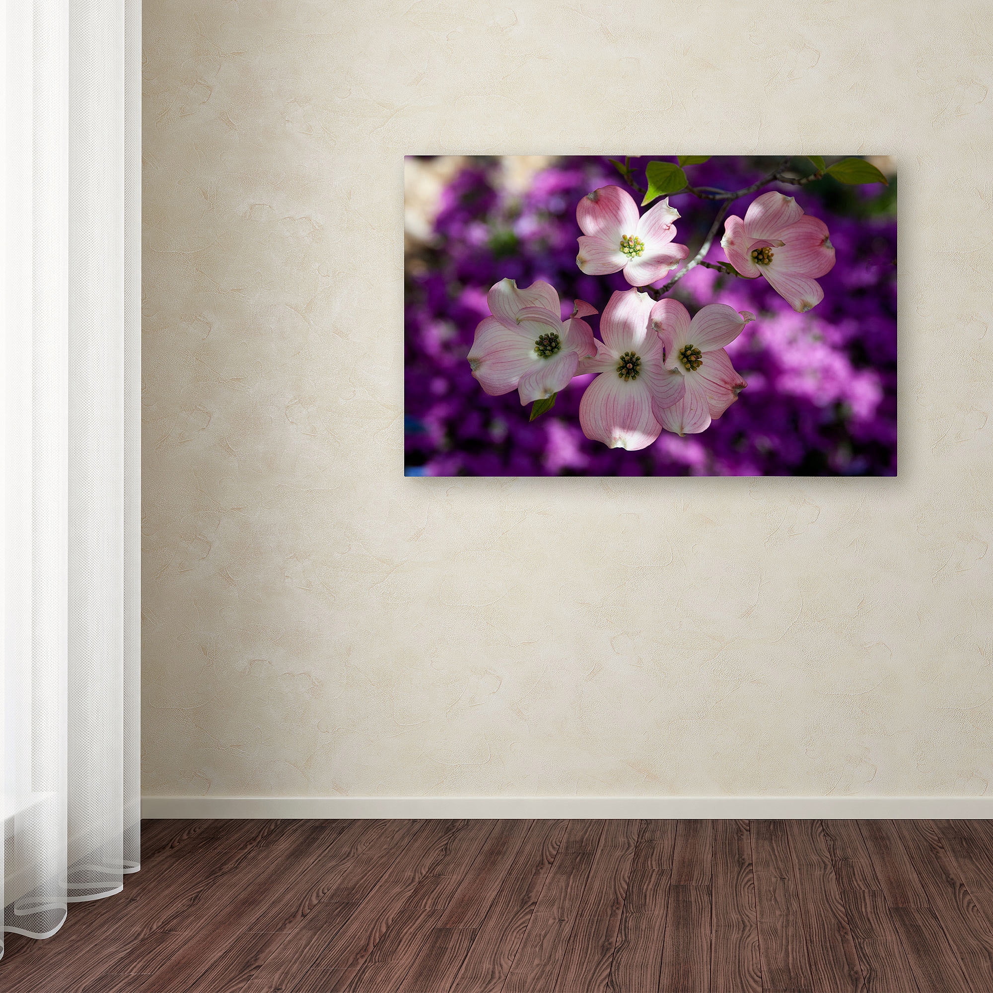 Trademark Fine Art "Pink Dogwood" Canvas Art by Kurt Shaffer