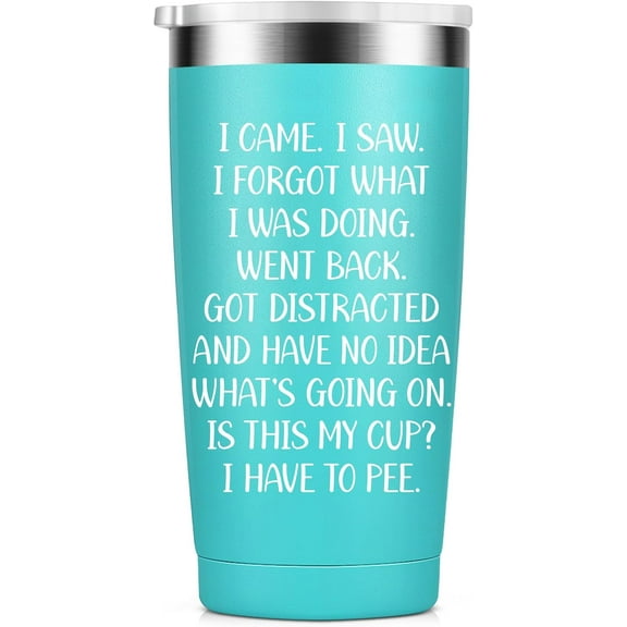 I Came I Saw Tumbler for Women - Funny Tumbler for Women - Fun Birthday Gifts for Women, Sister, Mom, Bestie, Female Coworkers, 20 Oz Stainless Steel Insulated Funny Water Tumbler, Mint
