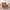 Orange, variant on Modern Accent Chair with Pillow, Chenille Arm Chairs for Living Room, Upholstered Modern Armchair, Comfy Soft Padded Lounge Chair in Small Space, Bedroom, Solid Wood Leg, Teal