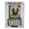thumbnail image 1 of Marco de fotos Silver Buffalo Harry Potter Sirius Black 4x6, 1 of 9