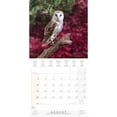 Tushita Publishing, Magic Owls 2025 Wall Calendar
