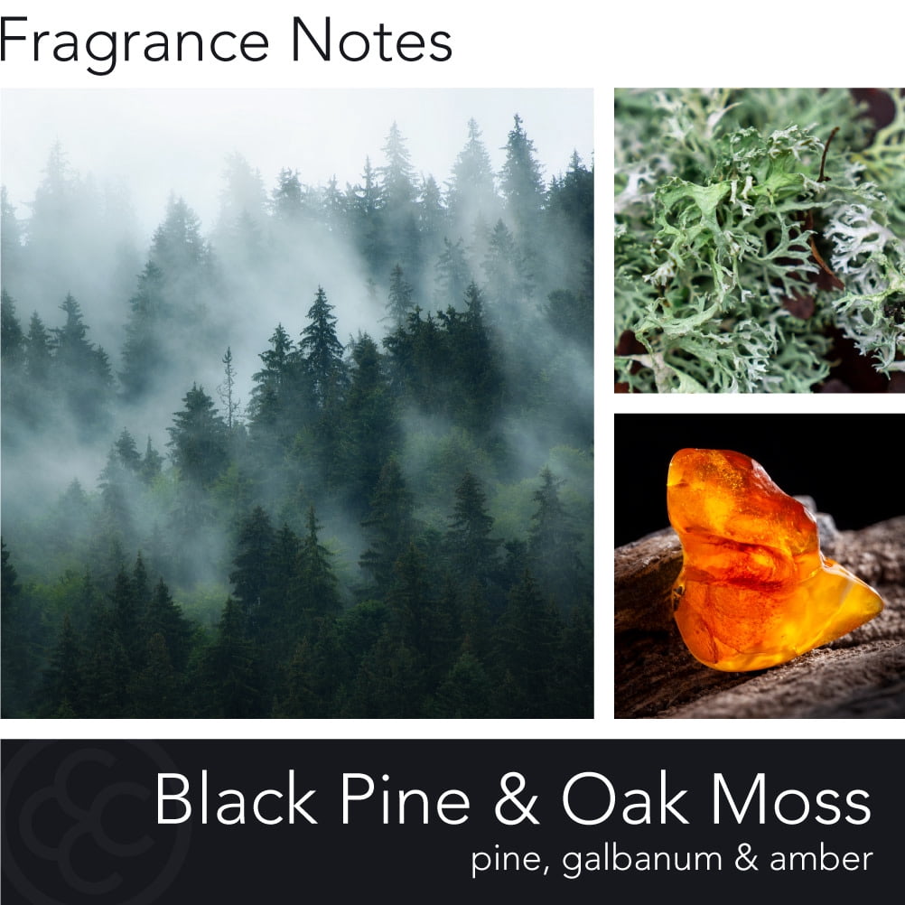 Manly Indulgence Black Pine & Oak Moss 20 oz Jar Candle, Wood Wick, Black