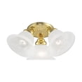 thumbnail image 5 of Livex Lighting Edgemont Ceiling Mount in Polished Brass, 5 of 8