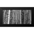 thumbnail image 2 of Urquhart, Elizabeth 24x14 Black Modern Framed Museum Art Print Titled - Aspen Grove, 2 of 5