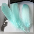 thumbnail image 3 of Clearance! Fdelink Feathers Decoration 50 Pcs Colourful Plumage for Wedding Party Flower Arrangement Home Decoration Diy Middle Floating Plume for Hair Cat Stick Clothing Craft Decoration Plumage, 3 of 3