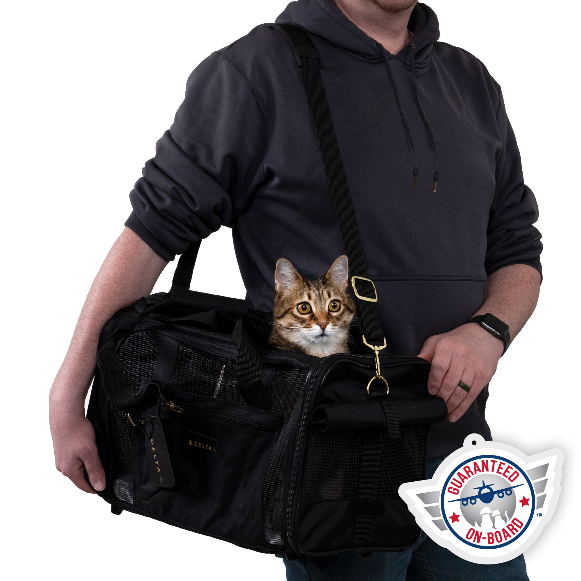 Delta shop dog carrier