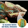 thumbnail image 6 of Educational Insights GeoSafari Kidscope, Kids Microscope, STEM Toy for Ages 5+, 6 of 8