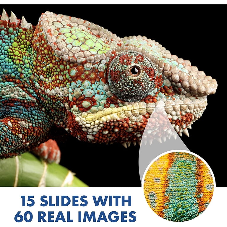 Kids Microscope with 15 Pre-Printed Slides photo 5