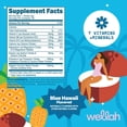 thumbnail image 7 of Wellah Electrolytes Powder (Blue Hawaii) 50 Servings - Hydration Drink Mix, 7 Vitamins & Minerals, Zero Sugar, 7 of 7