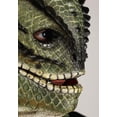 View all media