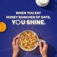 thumbnail image 3 of Honey Bunches of Oats with Almonds Almond Breakfast Cereal, Family Size 28 oz Box, 3 of 12