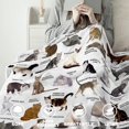 thumbnail image 2 of Cute Cat Blanket for Mens Womens, Ultra Soft Adults Cat Throw Blanket for Cat Lovers, Lightweight Cozy Cat Gifts Blanket for Christmas Thanksgiving Bed Couch Sofa 60x80in, 2 of 6