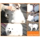 thumbnail image 5 of Cuerda reflectante para perros con rayas multicolor, 5 of 5