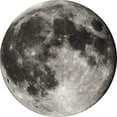 thumbnail image 1 of Round Rug For Living Room Or Bathroom (100 Cm In Diameter), 1 of 2