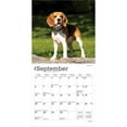 thumbnail image 4 of Beagles | 2026 7x14" (Hanging) Monthly Mini Wall Calendar | BrownTrout, 4 of 9