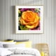 thumbnail image 4 of Cuadros Decorativos 5D diamante pintura rosas flor completo cuadrado taladro mosaico DIY diamantes de imitación artes DQrwqpou Nuevos Originales, 4 of 9