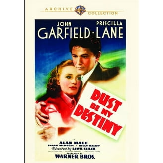 THE DROWNING POOL DVD ハーバー探偵シリーズ　DVD-R版 The Drowning Pool (DVD), Warner Archives, Mystery & Suspense