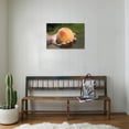 thumbnail image 3 of A Large, Freestone Peach from the Kimberly Orchards in Central Oregon, Unframed Photographic Print Wall Art by Buddy Mays Sold by Art.Com, 3 of 4