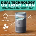 thumbnail image 4 of STEM Flying Insect Fan Trap for Indoor Bug Control, Plug-In Fan with UV Light, Starter Kit Includes 1 Device and 5 Glue Traps, 4 of 15
