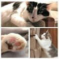 thumbnail image 3 of ievspot 4Pcs Cat Furniture Couch Protector,Double Sided Clear Cat Training Sticky Paw Pads, 3 of 5
