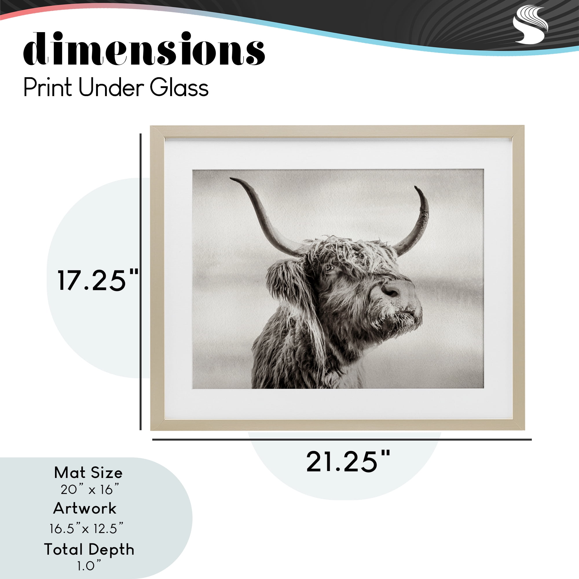 Stupell Industries Horned Highland Cow Gazing Birch Framed Print Under Glass, design by Julia Frost