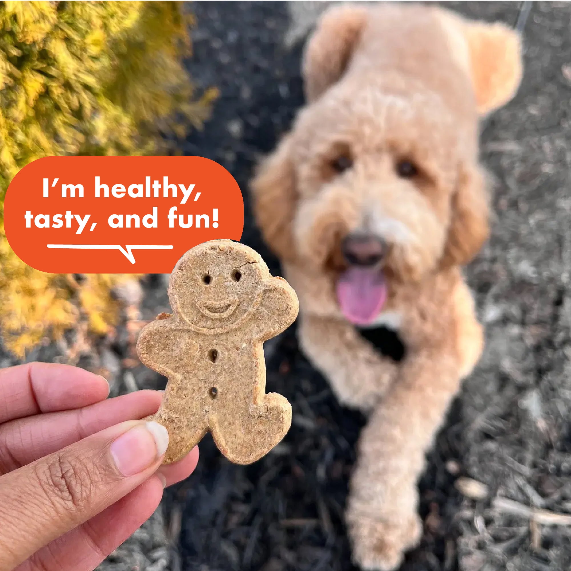 (4 pack) Buddy Biscuits Crunchy Dog Treats, Peanut Butter, 16 oz. Box