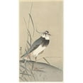 thumbnail image 3 of Ohara Koson 10x14 Black Modern Framed Museum Art Print Titled - Lapwing and Reed (1900 - 1930), 3 of 5