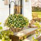 thumbnail image 5 of Cesta colgante de flores artificiales – Eucalipto simulado, camelia, palmera para decoración de interiores y exteriores, cesta de plantas artificiales sin mantenimiento para el hogar, jardín, 5 of 6