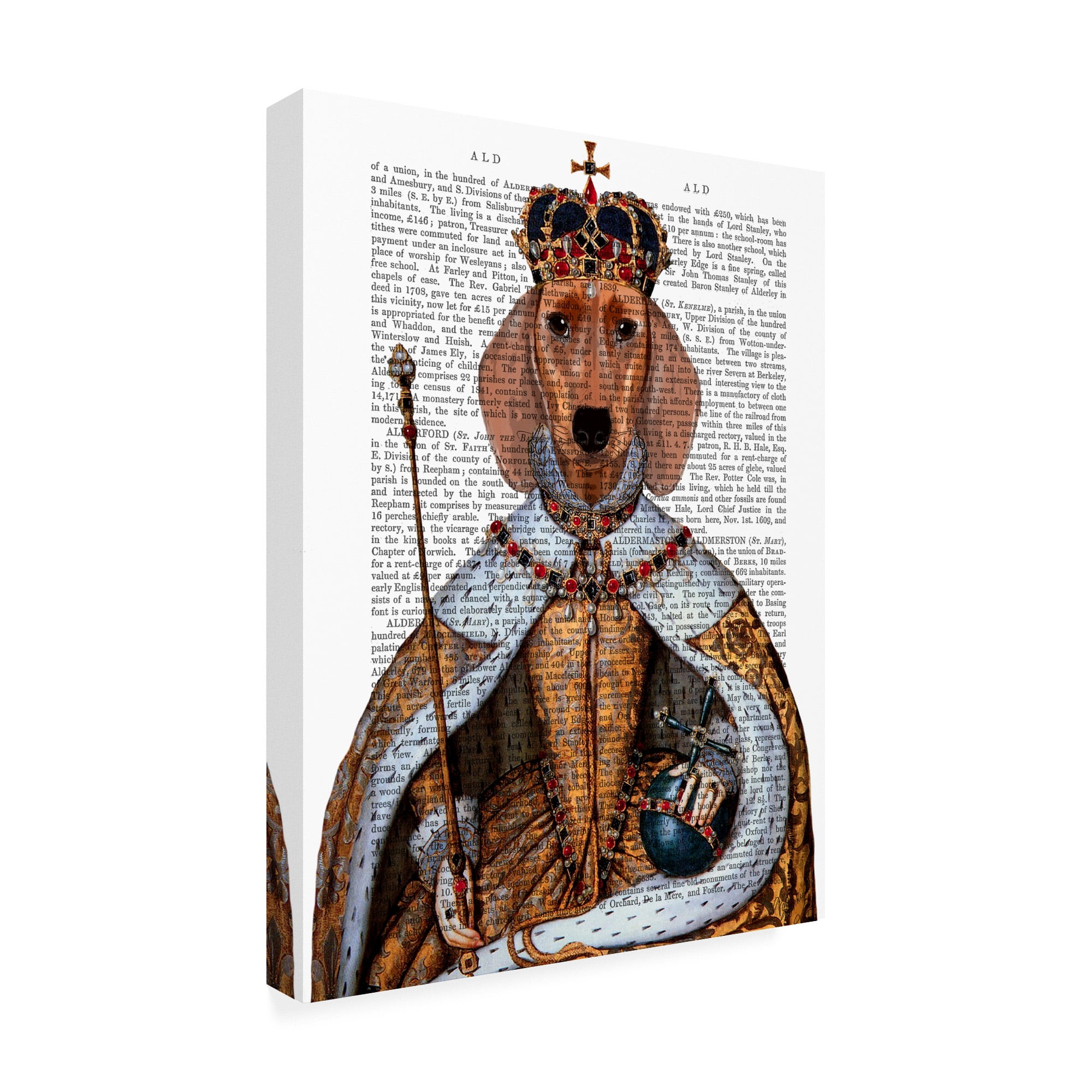 Trademark Fine Art 'Dachshund Queen' Canvas Art by Fab Funky