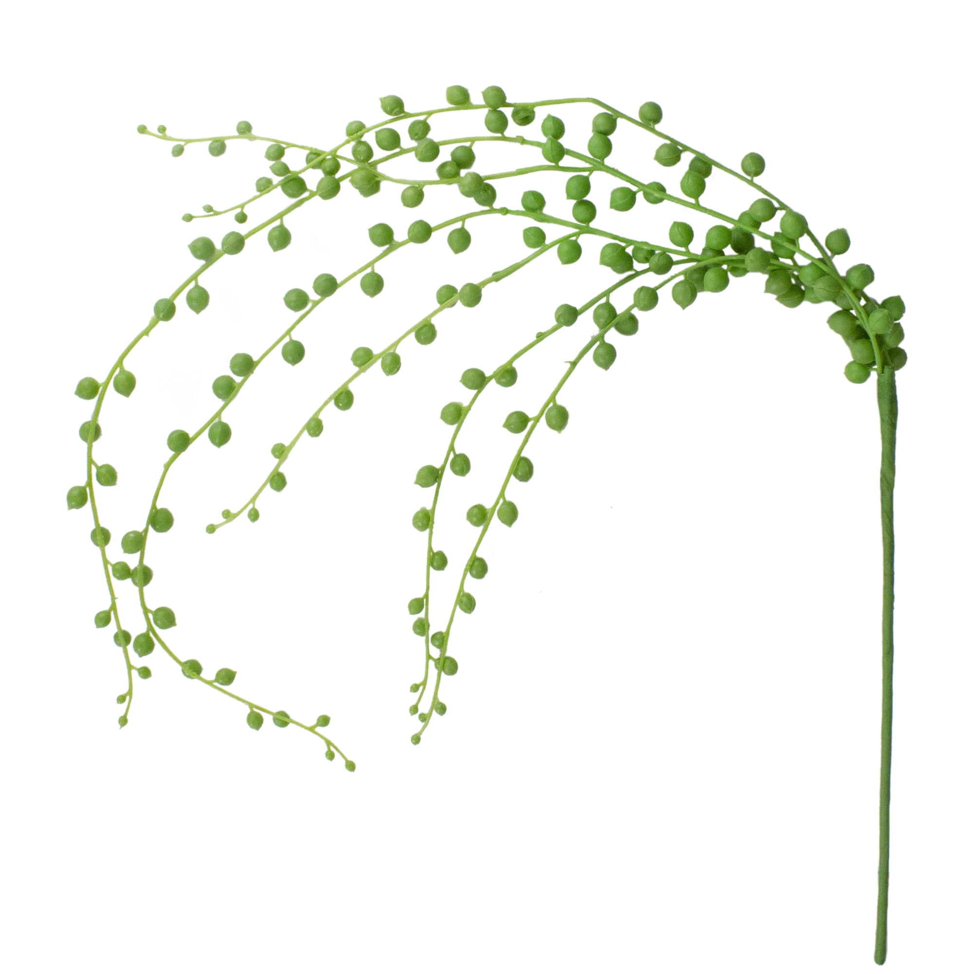 String of Pearls Artificial Spray - 30" - Green