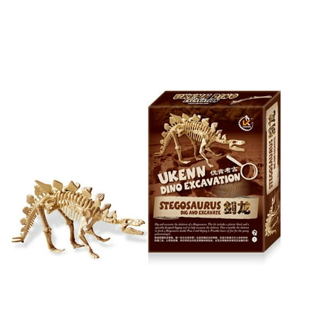 Excavation Tool - Early Education Large Dinosaur Skeleton Excavation Kit Assembled Toy with Digging Tools Specification:Stegosaurus