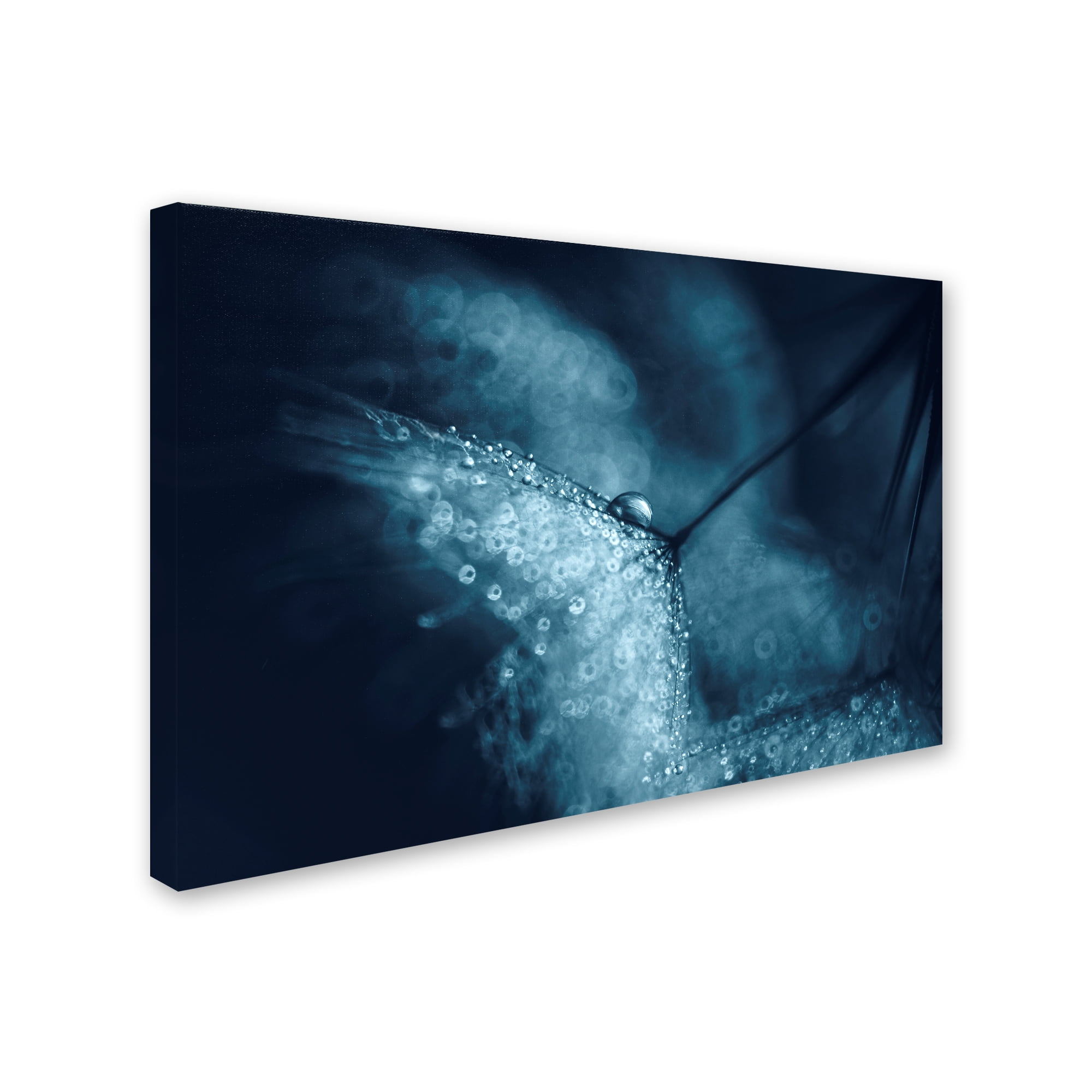 Trademark Fine Art 'Blue Dandelions' Canvas Art by Ivelina Blagoeva