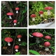thumbnail image 6 of Chidian 3Pcs Landscape Mushroom Ornaments Resin Noctilucent Mushroom Bonsai Flowerpot Decor, 6 of 8