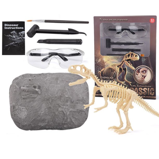 Imitation Dinosaurs Fossil Excavation Kids Dinosaur Excavation Kits Dig