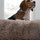 thumbnail image 4 of Brindle Cama para Perro o Gato - Cama Suave y Ergonomica - Antiestrés - Cama Redonda Tipo Dona - Mediana, 4 of 6