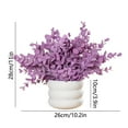 thumbnail image 3 of chaungfeng 9.8 Inches Small Fake Eucalyptus Plant, Artificial Potted Plants Indoor for Desk, Shelf, Home Decor, Realistic Faux Plant for Office, Bathroom/Living Room Decoration (Purple), 3 of 6