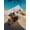 Grey, variant on Outdoor Sun Shade Sail 6.5'x10', Farmhouse Yaks Patio Beach Shade Canopy Cloth Waterproof, Modern Oil Painting Animals Print Wood Grain TearResistant & UV Protection Sun Sail for Backyard Garden Deck