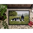 thumbnail image 3 of Lets Play Border Collie Doormat 24x36, 3 of 4