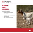 thumbnail image 5 of Purina Animal Nutrition Purina Goat Mineral 25lb, 5 of 5