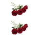thumbnail image 4 of Decoraciones de boda Naiovety 10 unids/set Flores artificiales Color Vino rojo, 4 of 6