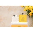 thumbnail image 4 of Body Wash + Esponja exfoliante SPONGELLÉ Sweet Patchouli, 4 of 5