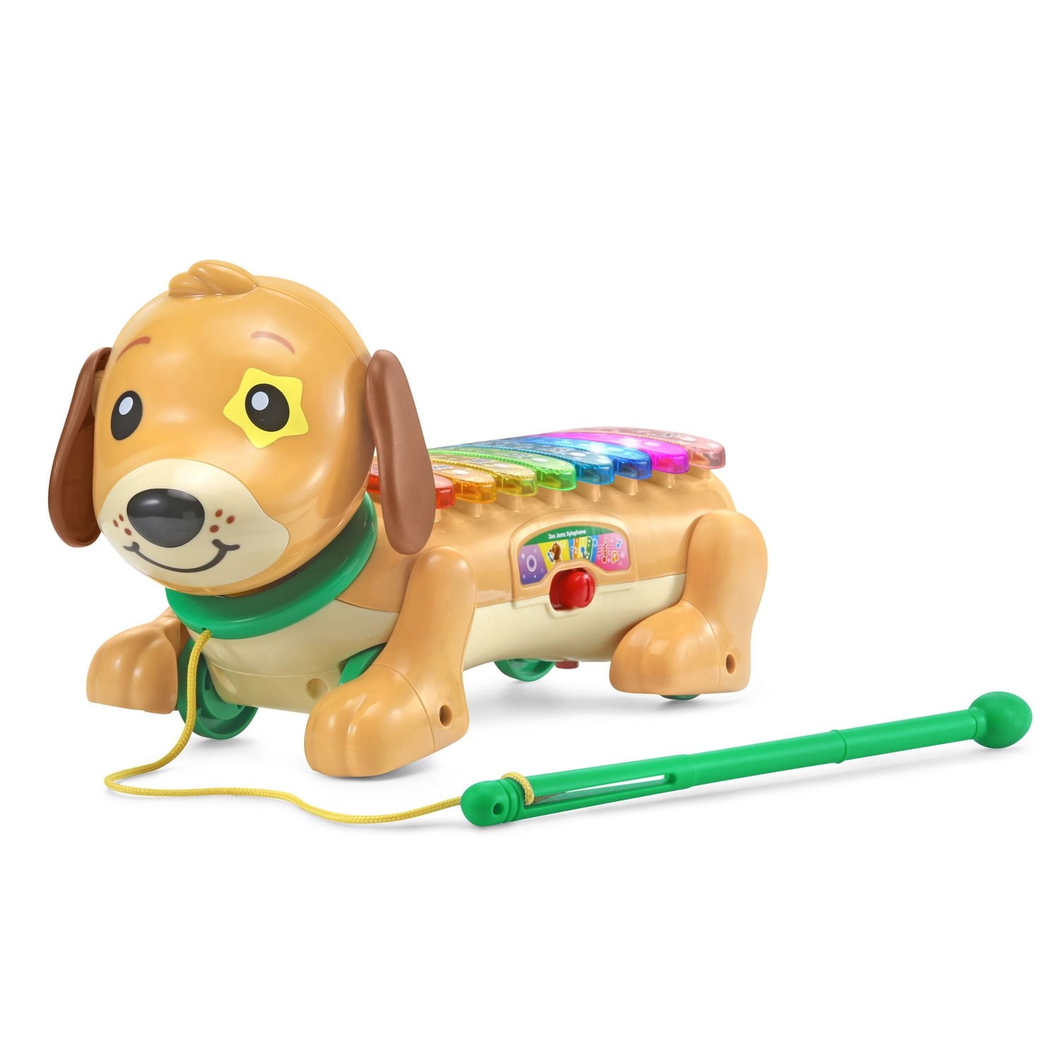 VTech Zoo Jamz Doggy Xylophone - Infant Musical Toy - English Version, 1.5-4 Years