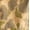 Yellow Camo, variant on Men's Cotton Camo Utility Jacket, Sizes XS-3XL