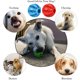 thumbnail image 5 of Pelota de juguetes para la dentición de perros, rompecabezas IQ para perros, juguetes para masticar para cachorros, limpieza de dientes de perros pequeños y grandes, 5 of 5